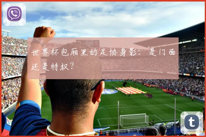 世界杯包厢里的足协身影：是门面还是特权？