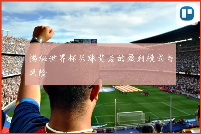 揭秘世界杯买球背后的盈利模式与风险
