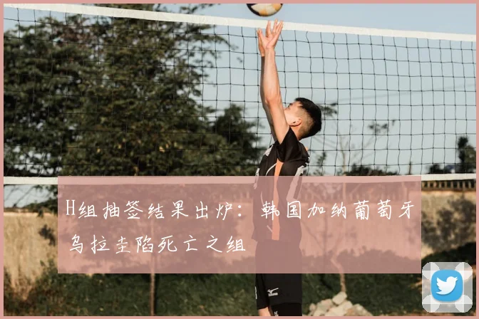 H组抽签结果出炉:韩国加纳葡萄牙乌拉圭陷死亡之组