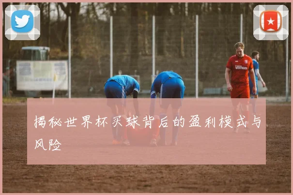 揭秘世界杯买球背后的盈利模式与风险
