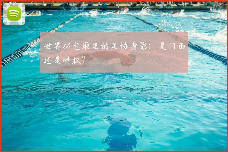 世界杯包厢里的足协身影:是门面还是特权?
