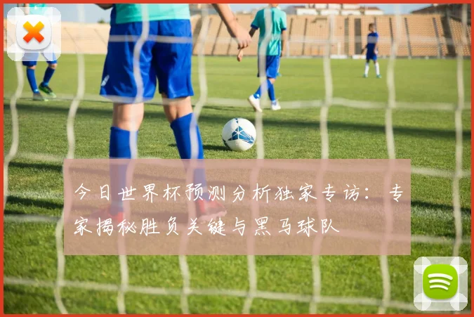 今日世界杯预测分析独家专访:专家揭秘胜负关键与黑马球队