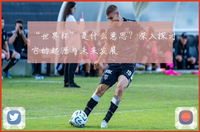 “世界杯”是什么意思?深入探讨它的起源与未来发展
