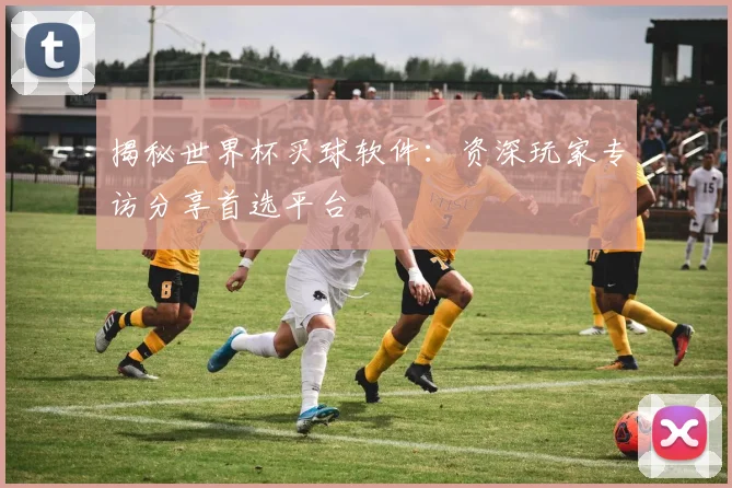 揭秘世界杯买球软件：资深玩家专访分享首选平台