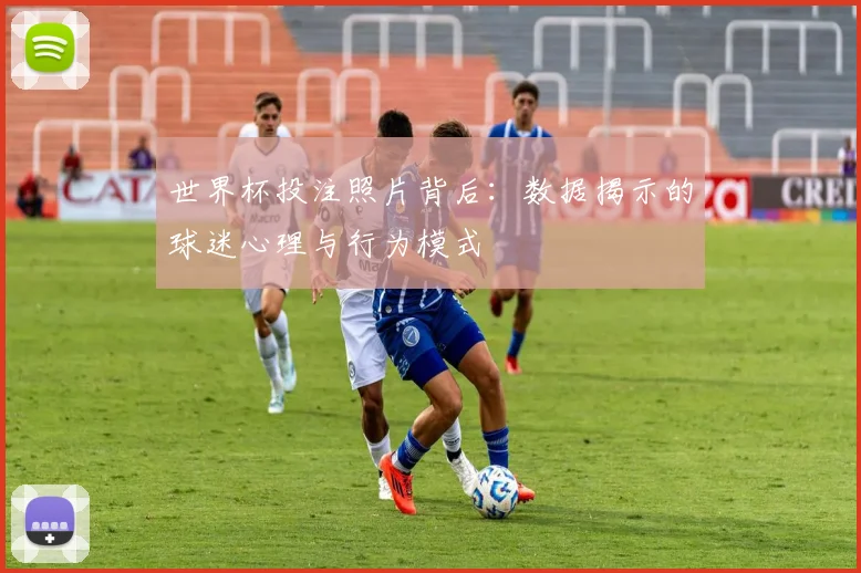 世界杯投注照片背后:数据揭示的球迷心理与行为模式
